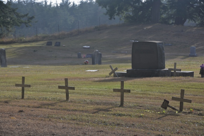 cemetery with crosses